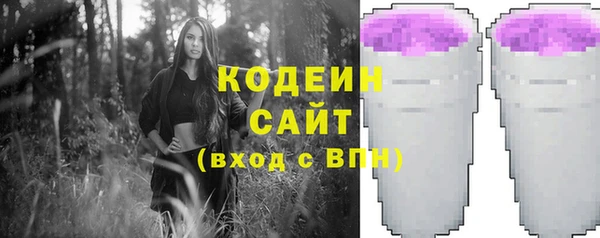 хмурый Лагань
