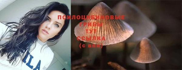 трава Лабытнанги