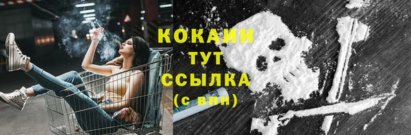 хмурый Лагань