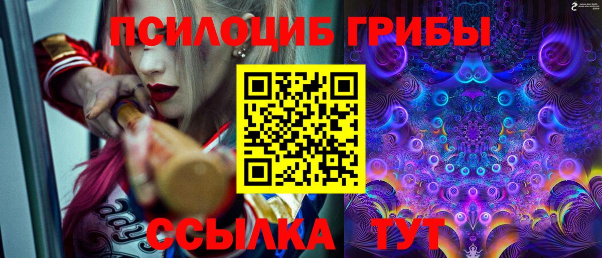 Галлюциногенные грибы Psilocybine cubensis  Вход с VPN  Галлюциногенные грибы MAGIC MUSHROOMS  Киржач 