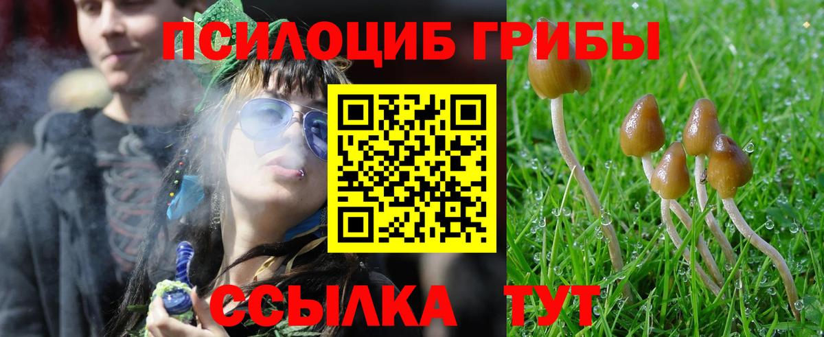 Псилоцибиновые грибы GOLDEN TEACHER Киржач