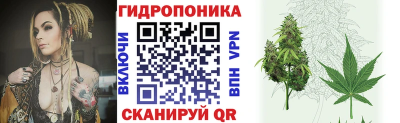 ОМГ ОМГ ONION  Киржач  Конопля сатива 